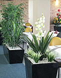 planters